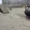Исходное основание