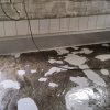 Грунтование, шпатлевание дефектов пола после его шлифовки